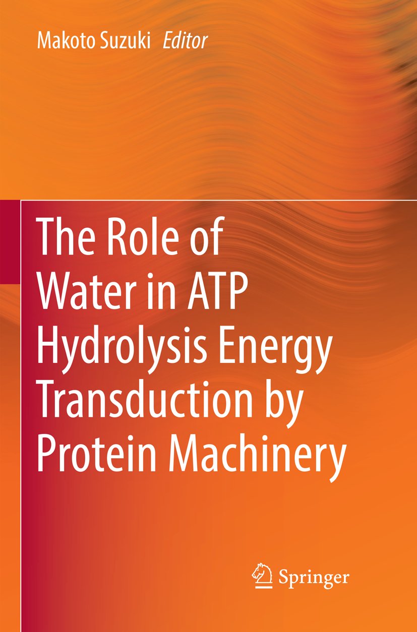 The Role of Water in ATP Hydrolysis Energy Transduction by Protein Machinery