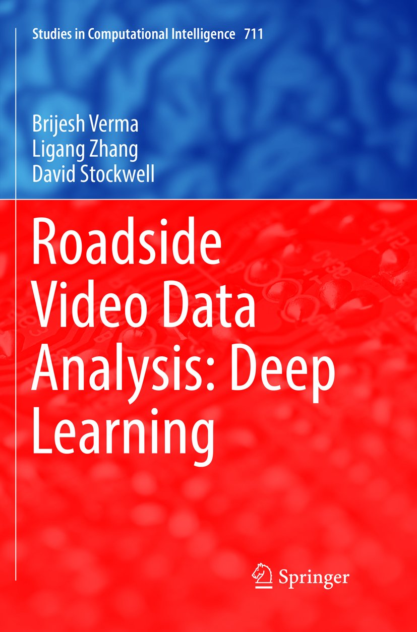 Studies in Computational Intelligence