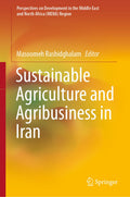 Perspectives on Development in the Middle East and North Africa (MENA) Region
