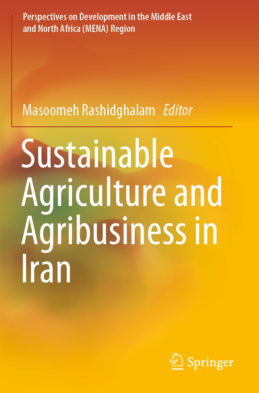 Perspectives on Development in the Middle East and North Africa (MENA) Region