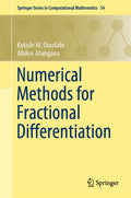 Springer Series in Computational Mathematics