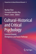 Perspectives in Cultural-Historical Research