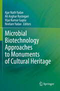 Microbial Biotechnology Approaches to Monuments of Cultural Heritage