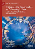 China and Globalization 2.0