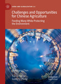China and Globalization 2.0