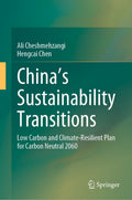 China's Sustainability Transitions