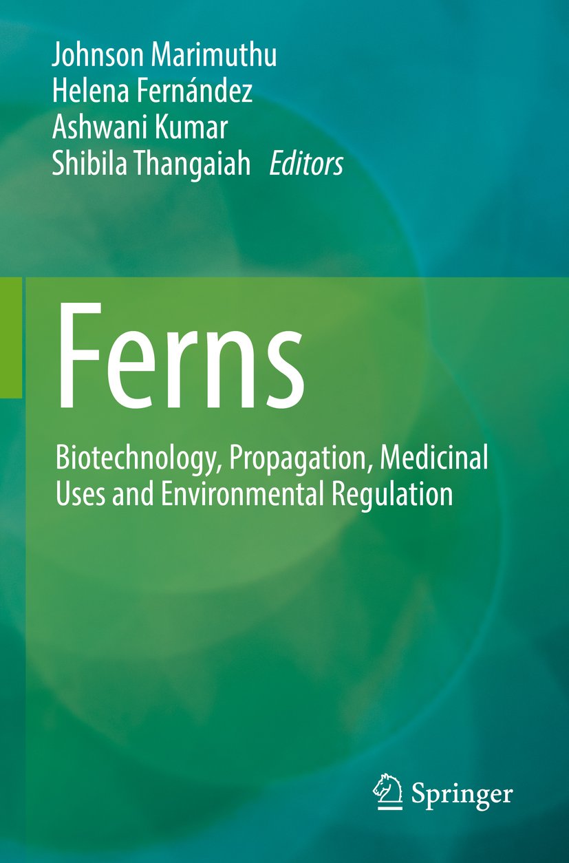Ferns