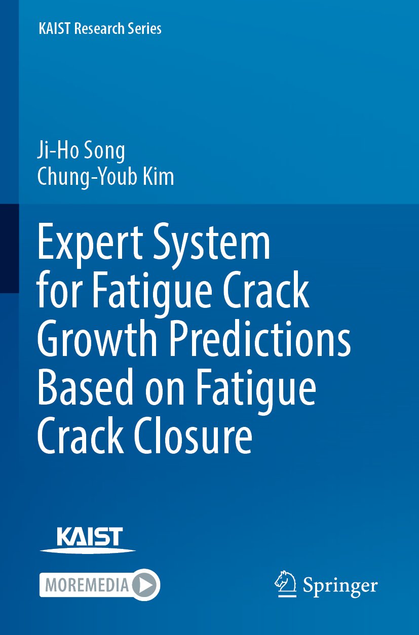 KAIST Research Series