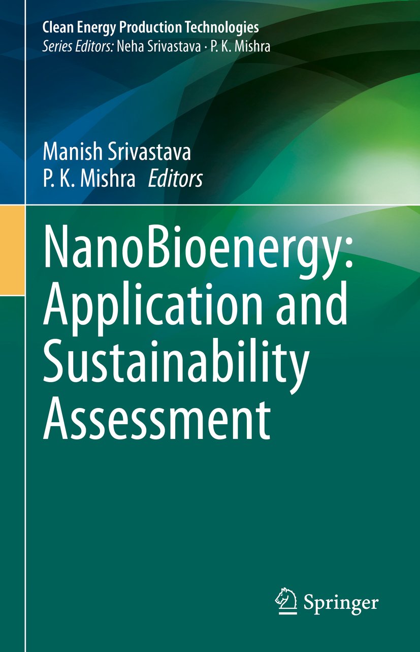 NanoBioenergy: Application and Sustainability Assessment