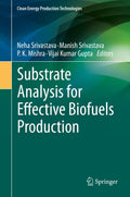 Clean Energy Production Technologies