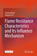 Flame Resistance Characteristics and Its Influence Mechanism