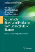 Sustainable Bioethanol Production from Lignocellulosic Biomass