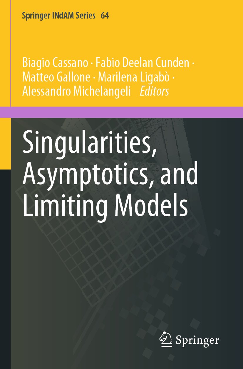 Singularities, Asymptotics, and Limiting Models
