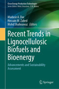 Clean Energy Production Technologies: Advancements and Sustainability Assessment