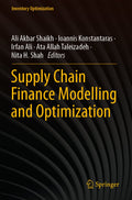 Supply Chain Finance Modelling and Optimization