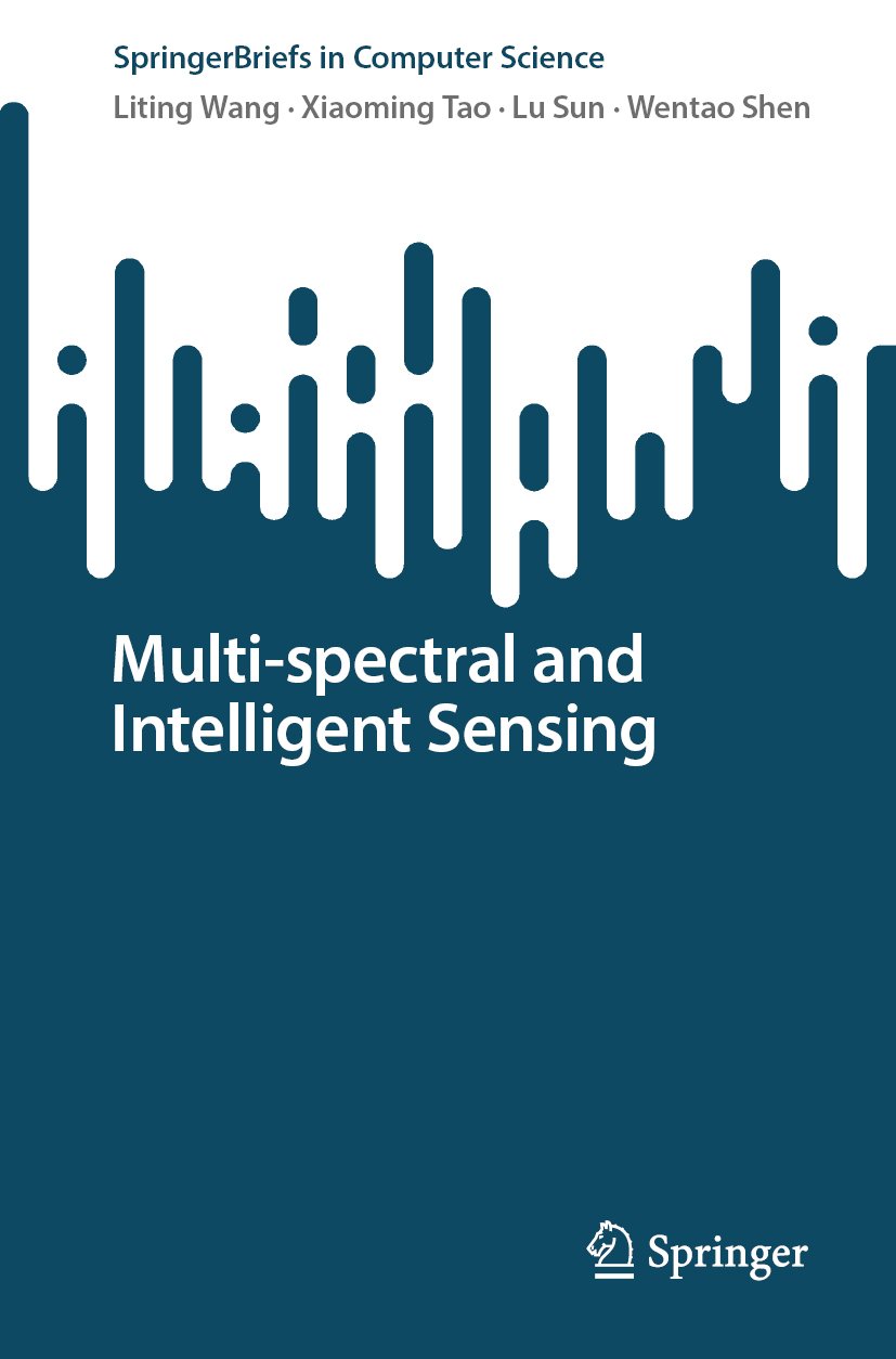 SpringerBriefs in Computer Science