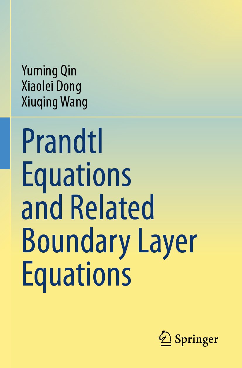Prandtl Equations and Related Boundary Layer Equations