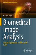 Brain Informatics and Health