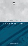 Hole in the Fence