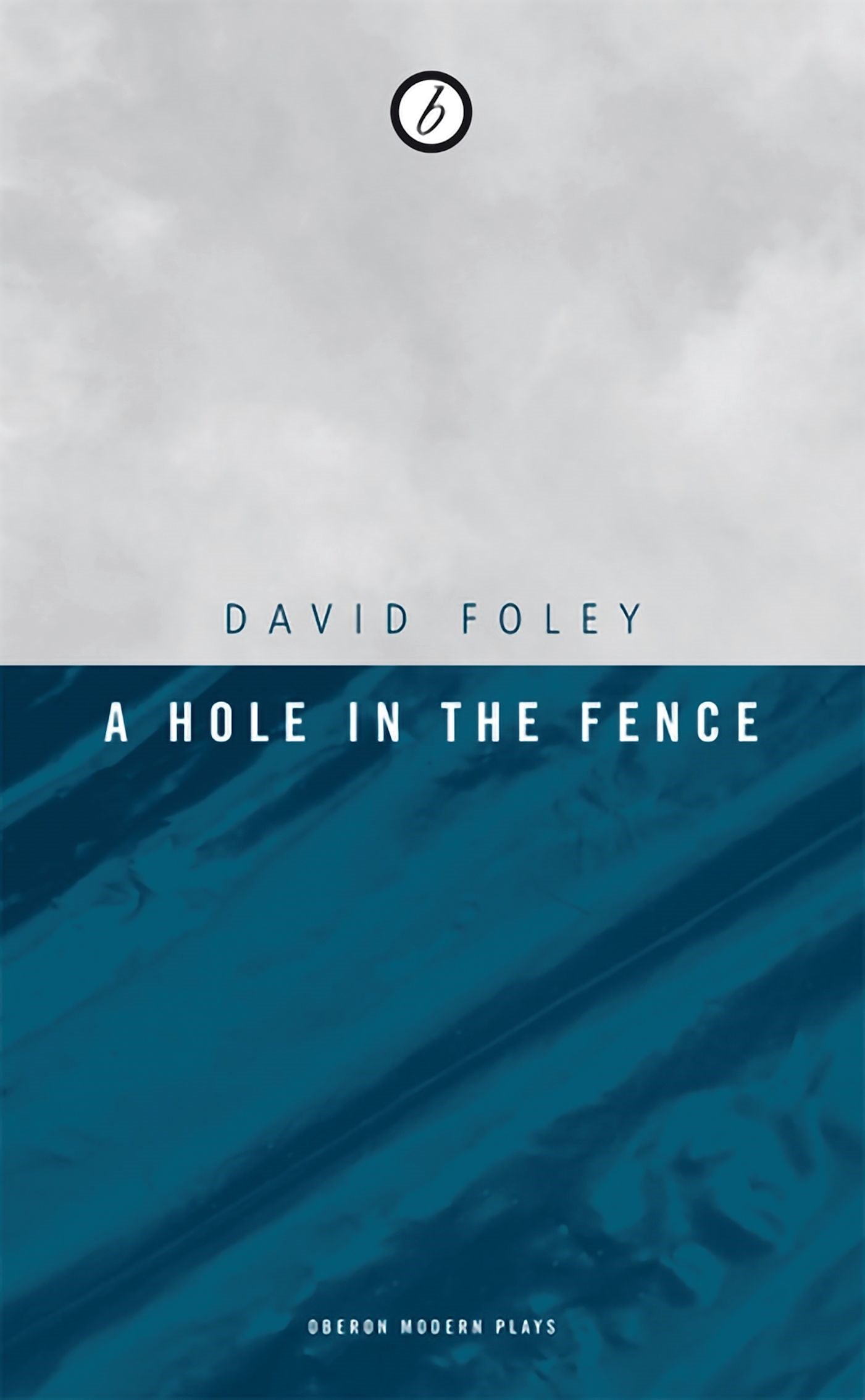 Hole in the Fence