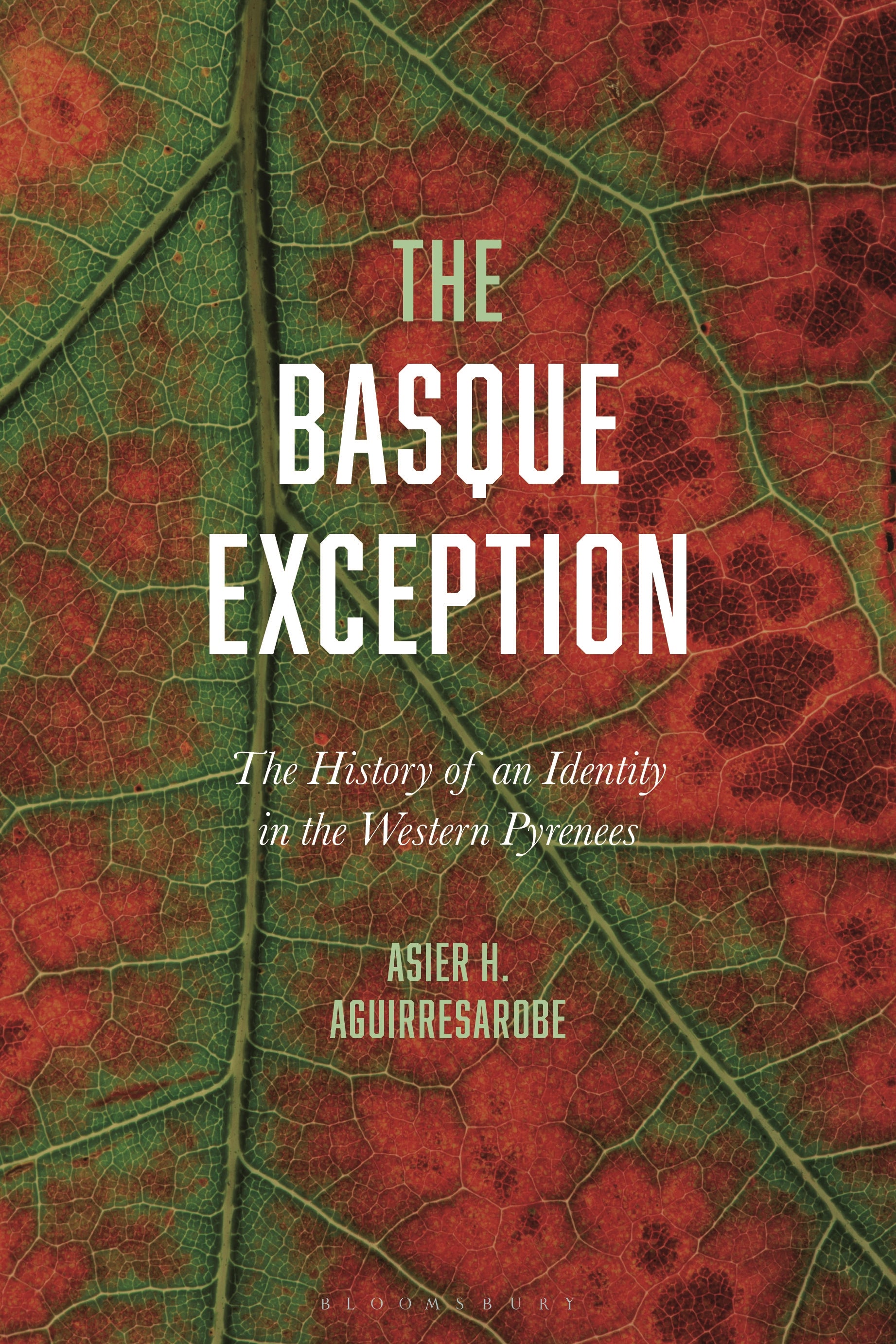 Basque Exception