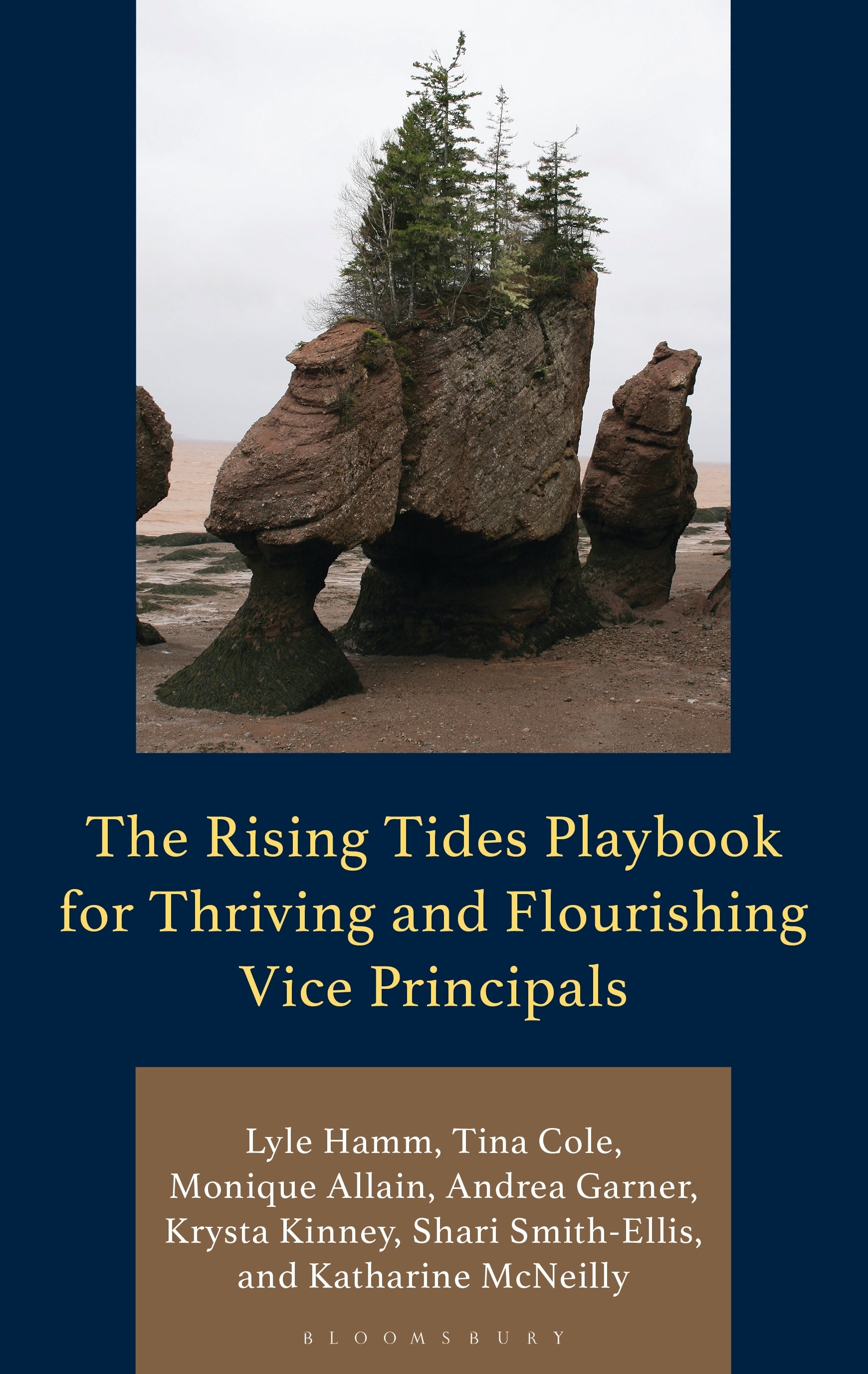 Rising Tides Playbook for Thriving and Flourishing Vice Principals