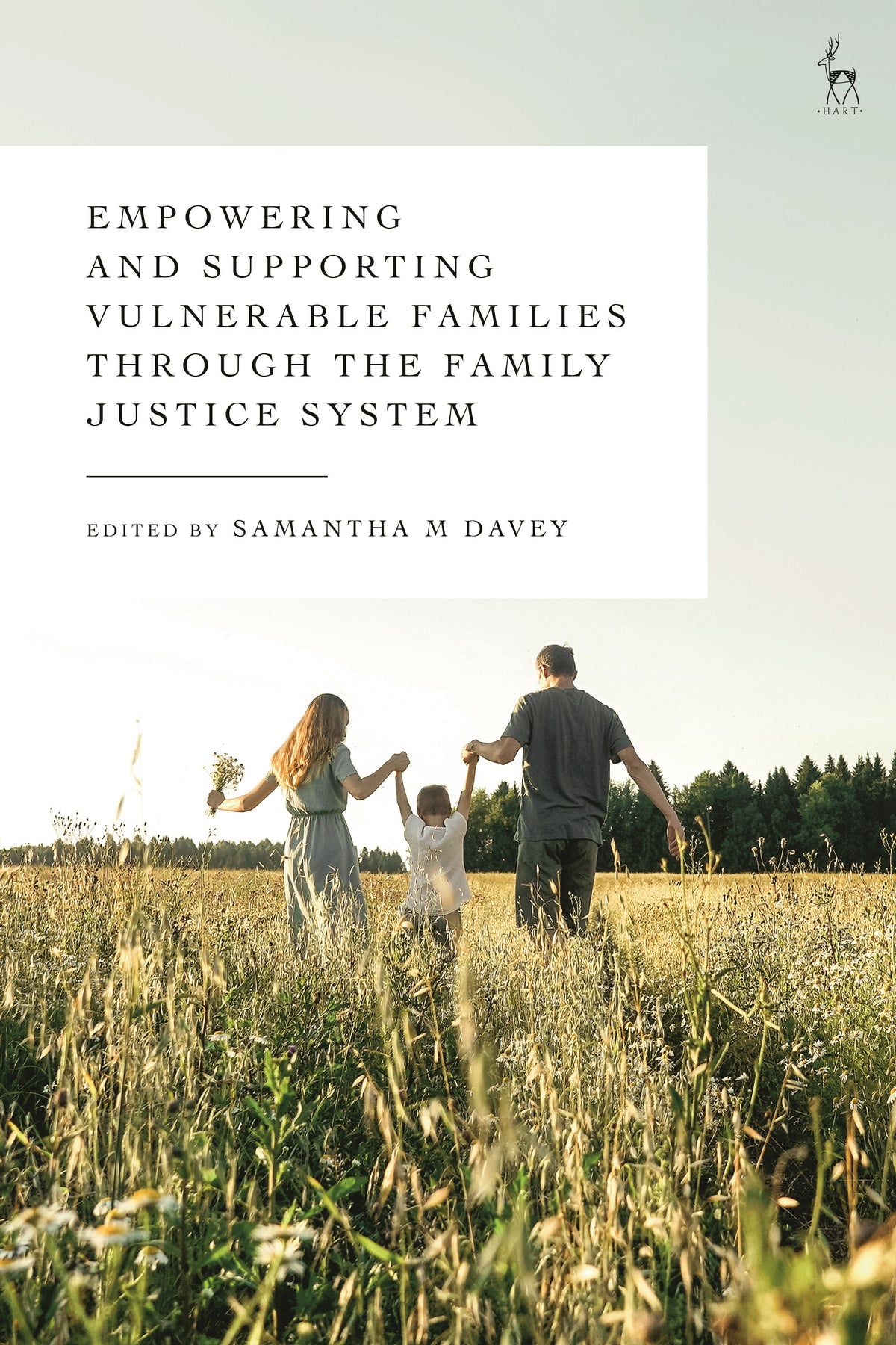 Empowering and Supporting Vulnerable Families through the Family Justice System