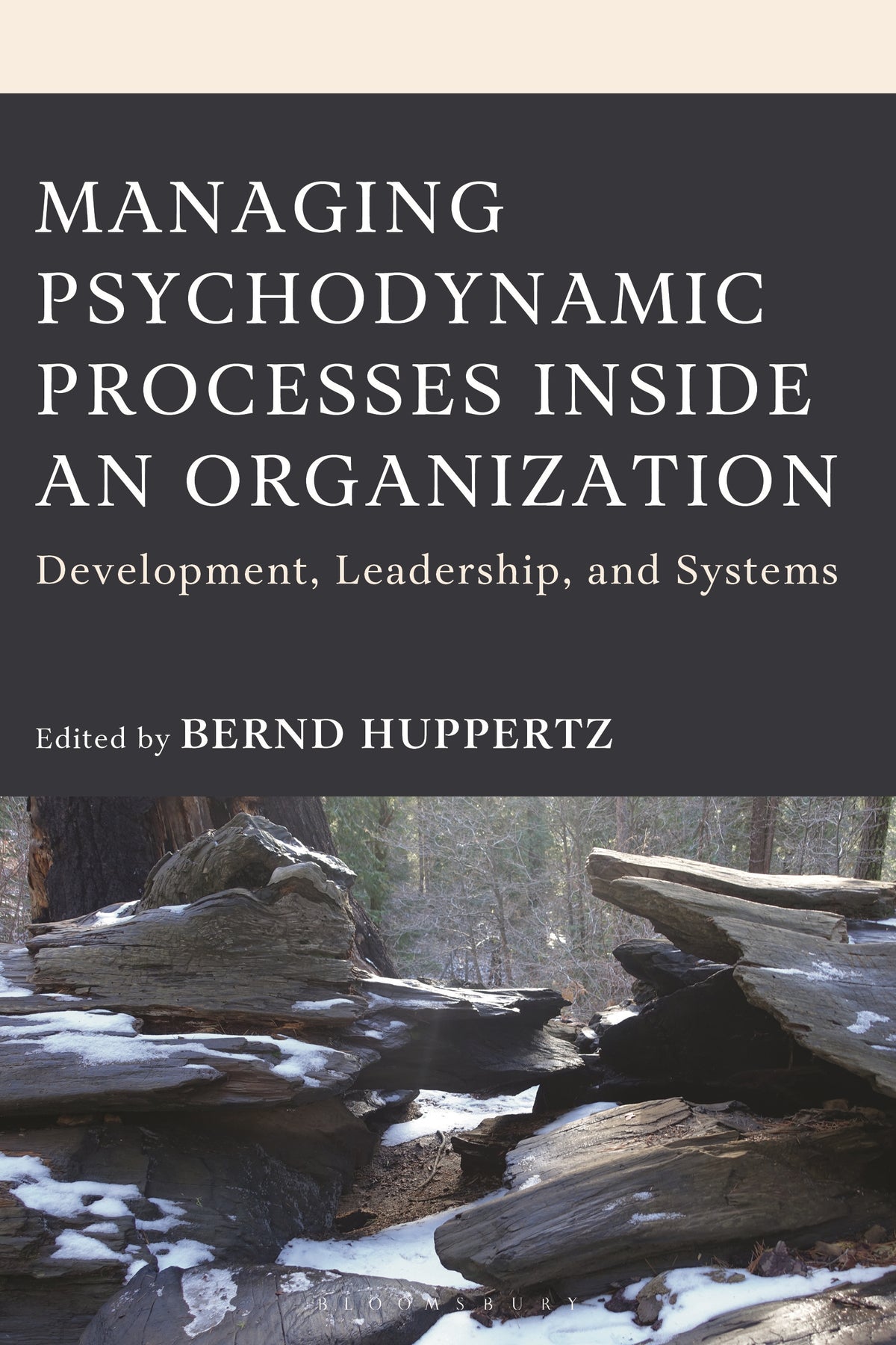 Managing Psychodynamic Processes Inside an Organization