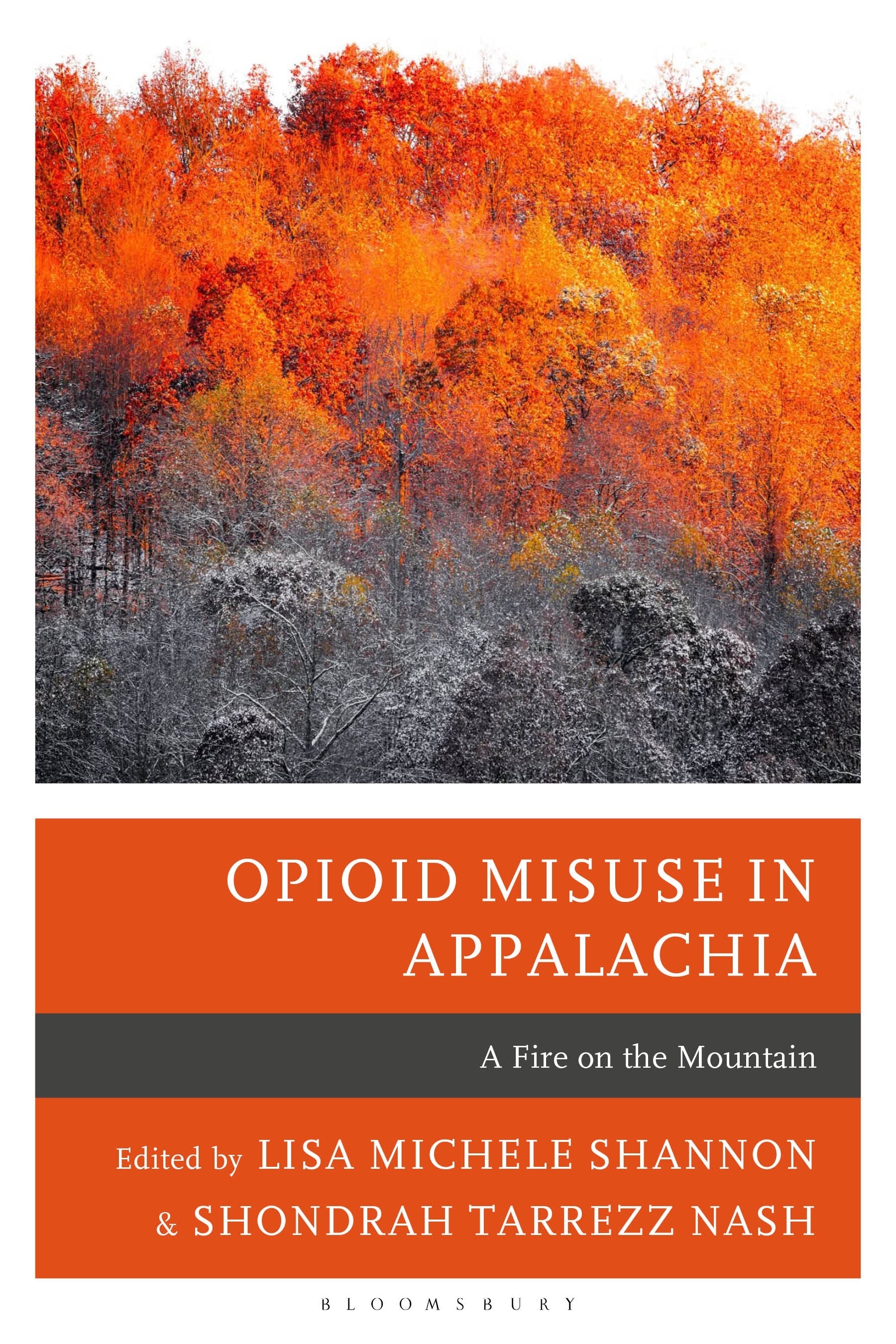 Opioid Misuse in Appalachia