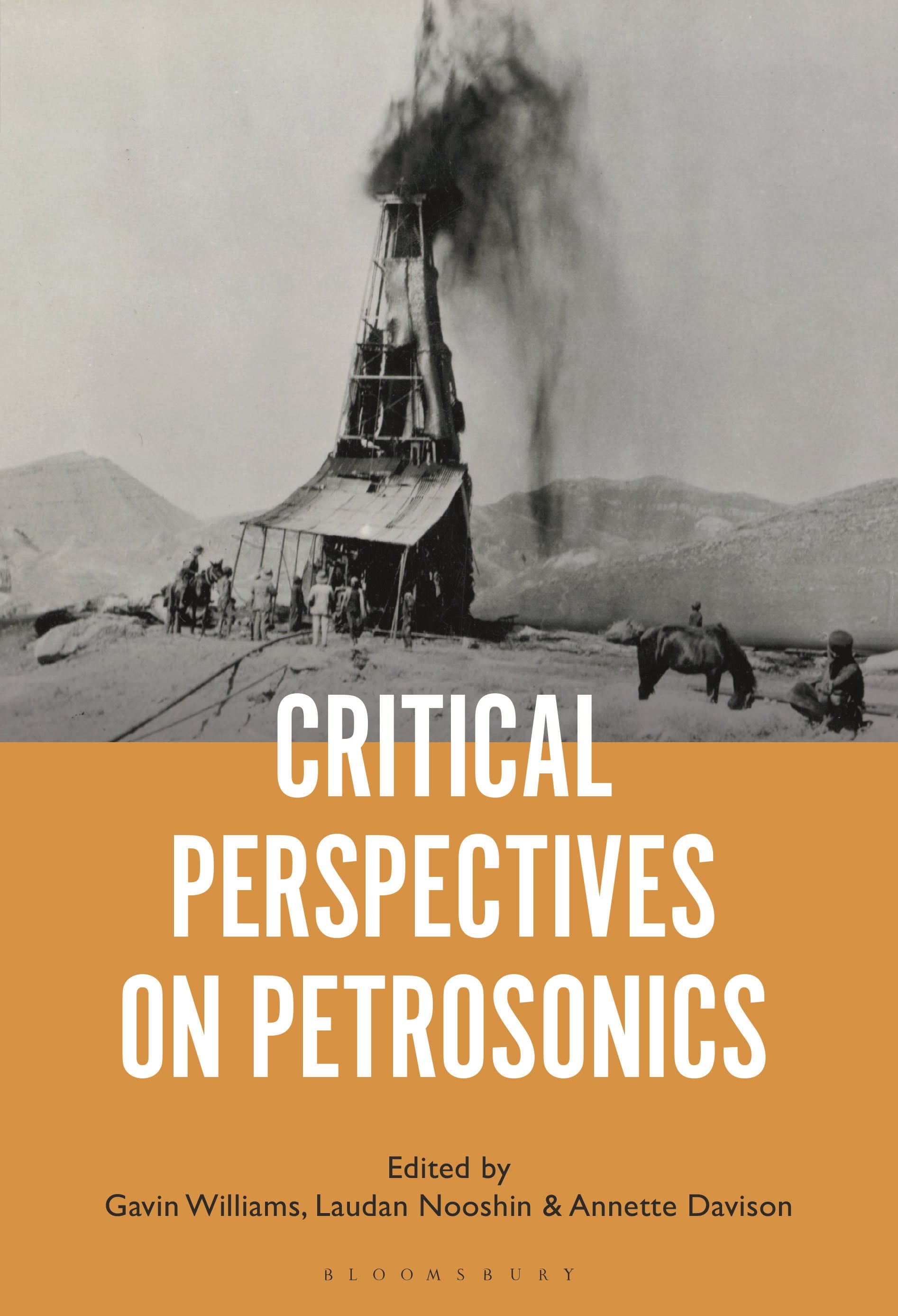 Critical Perspectives on Petrosonics