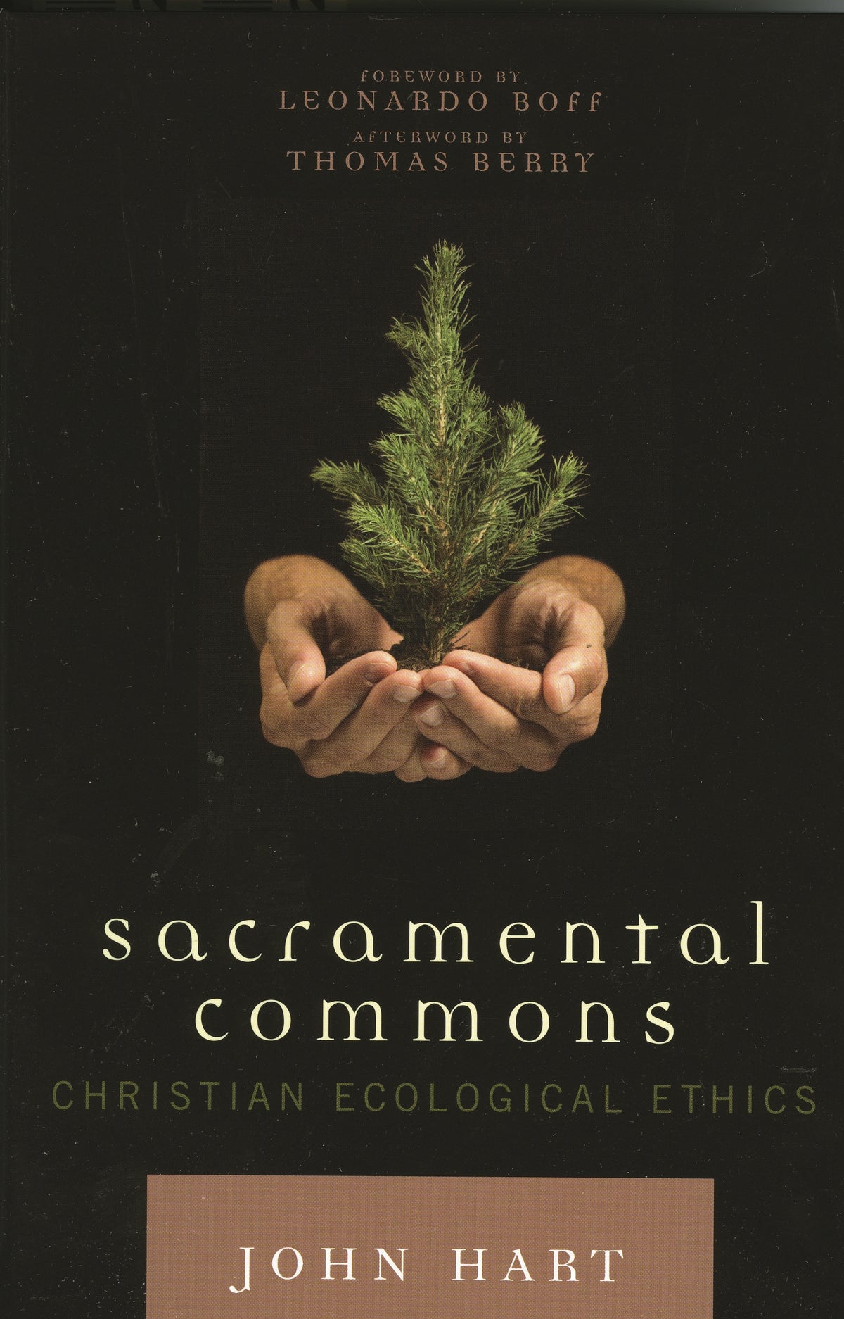 Sacramental Commons