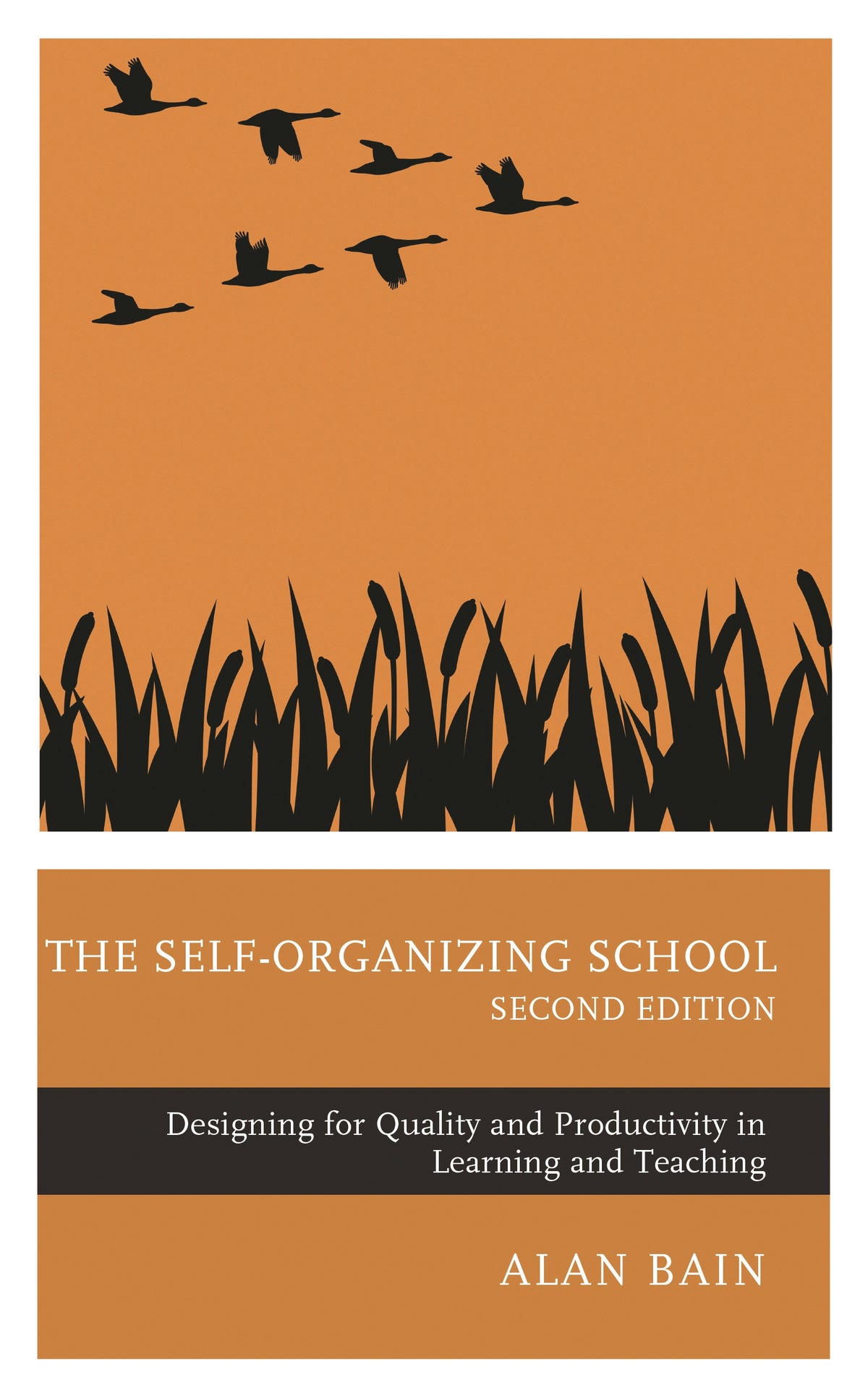 Self-Organizing School