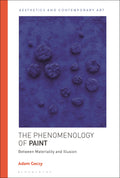 Phenomenology of Paint