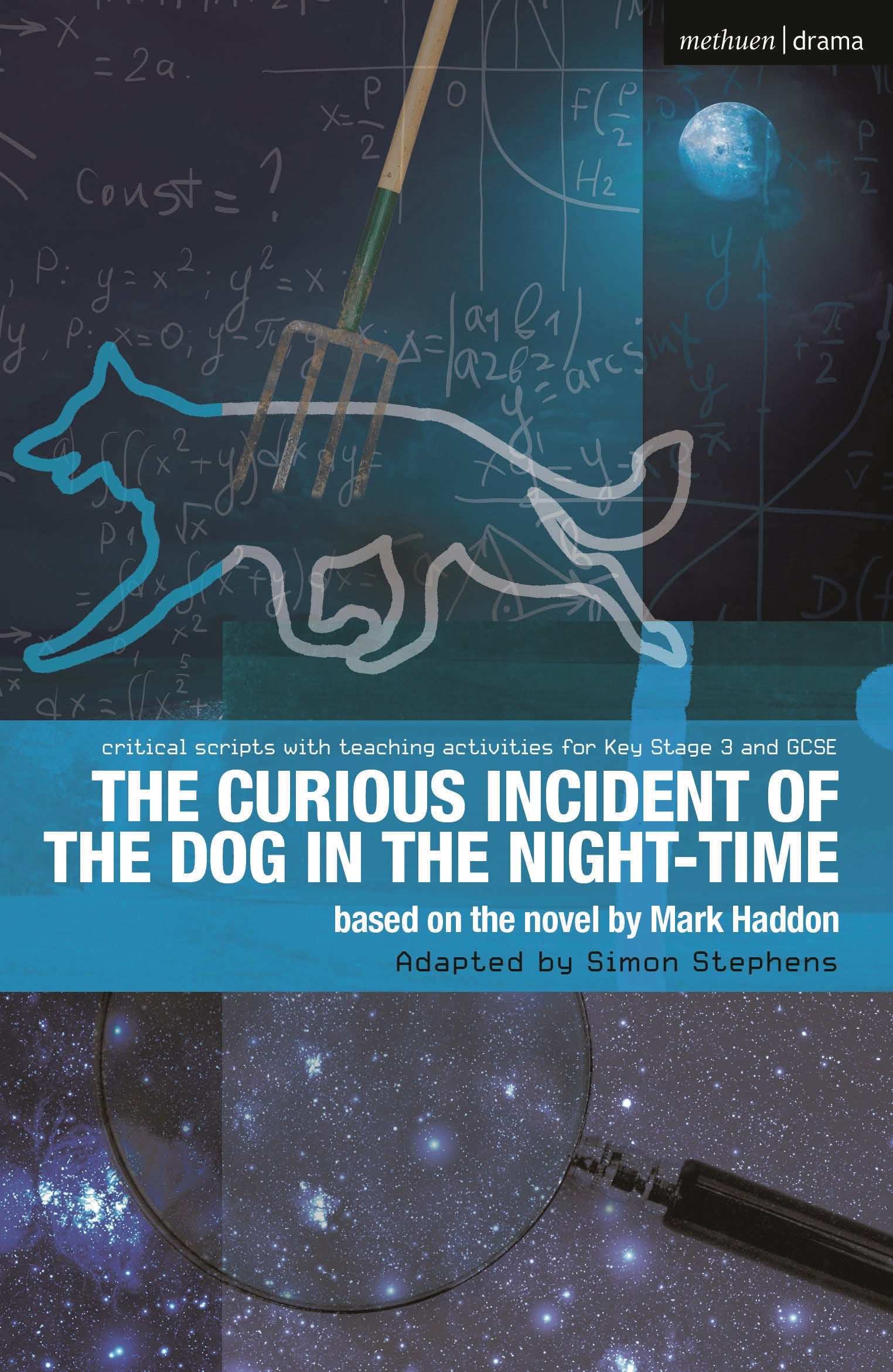 Curious Incident of the Dog in the Night-Time