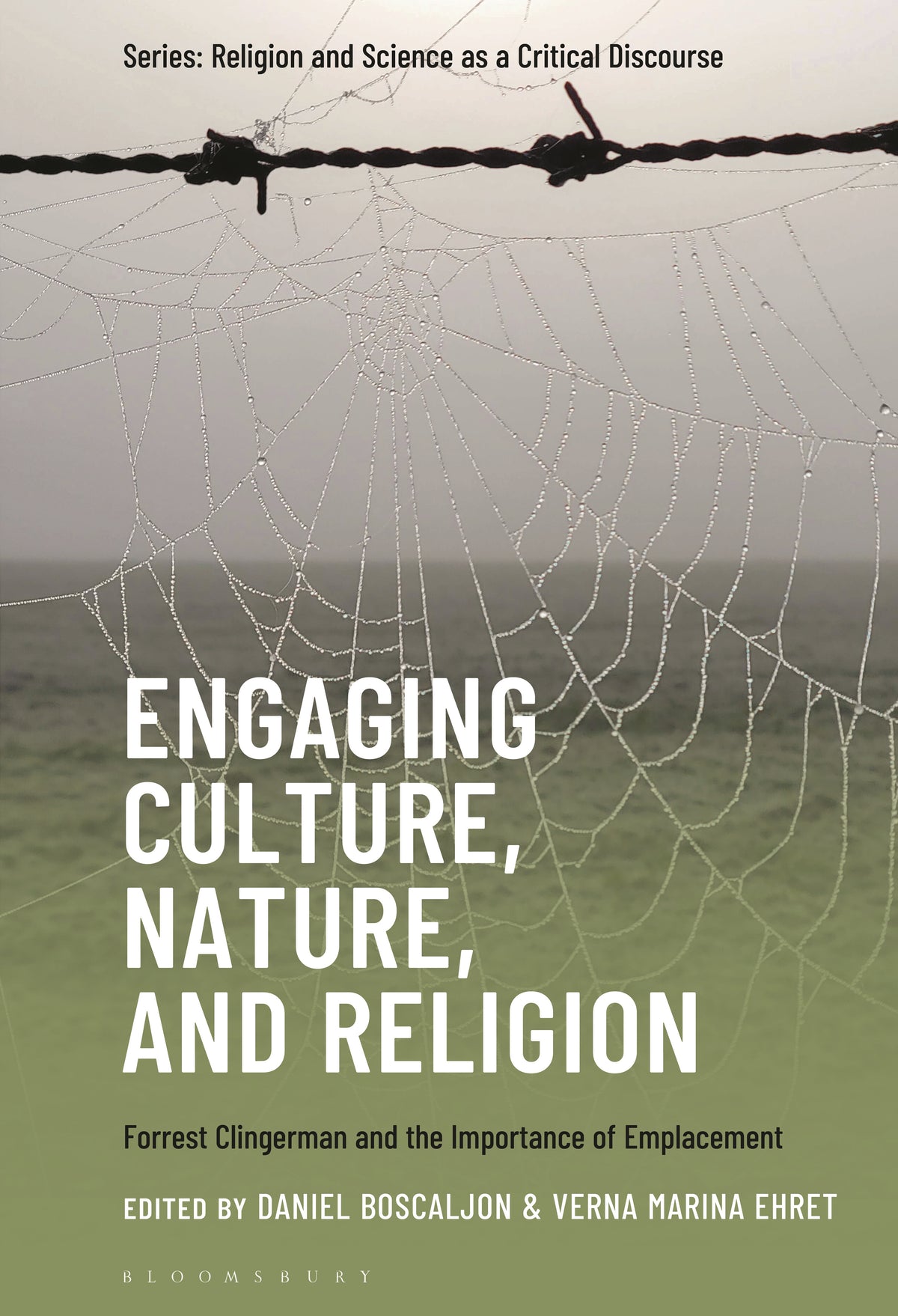Engaging Culture, Nature, and Religion
