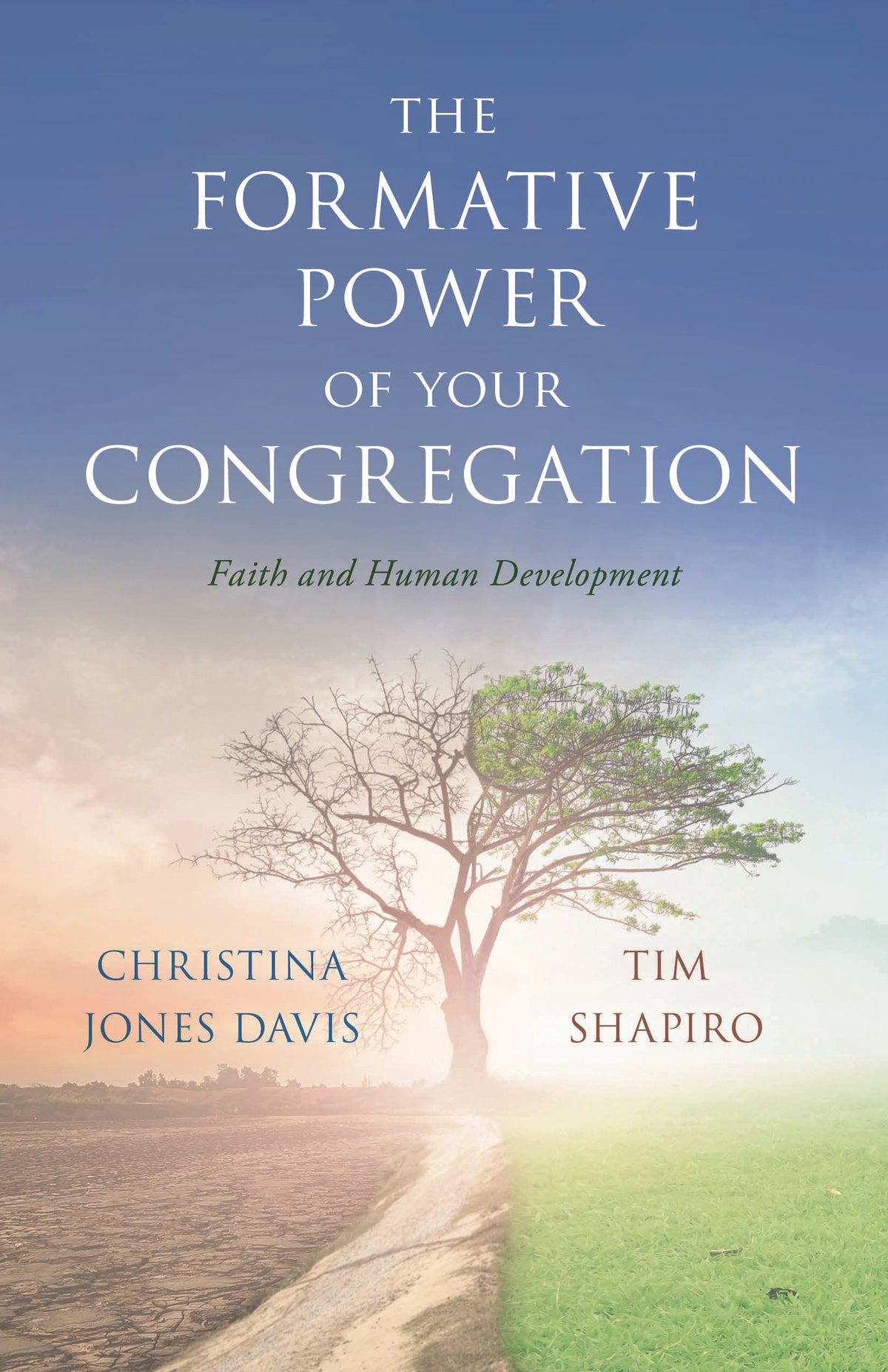 Formative Power of Your Congregation