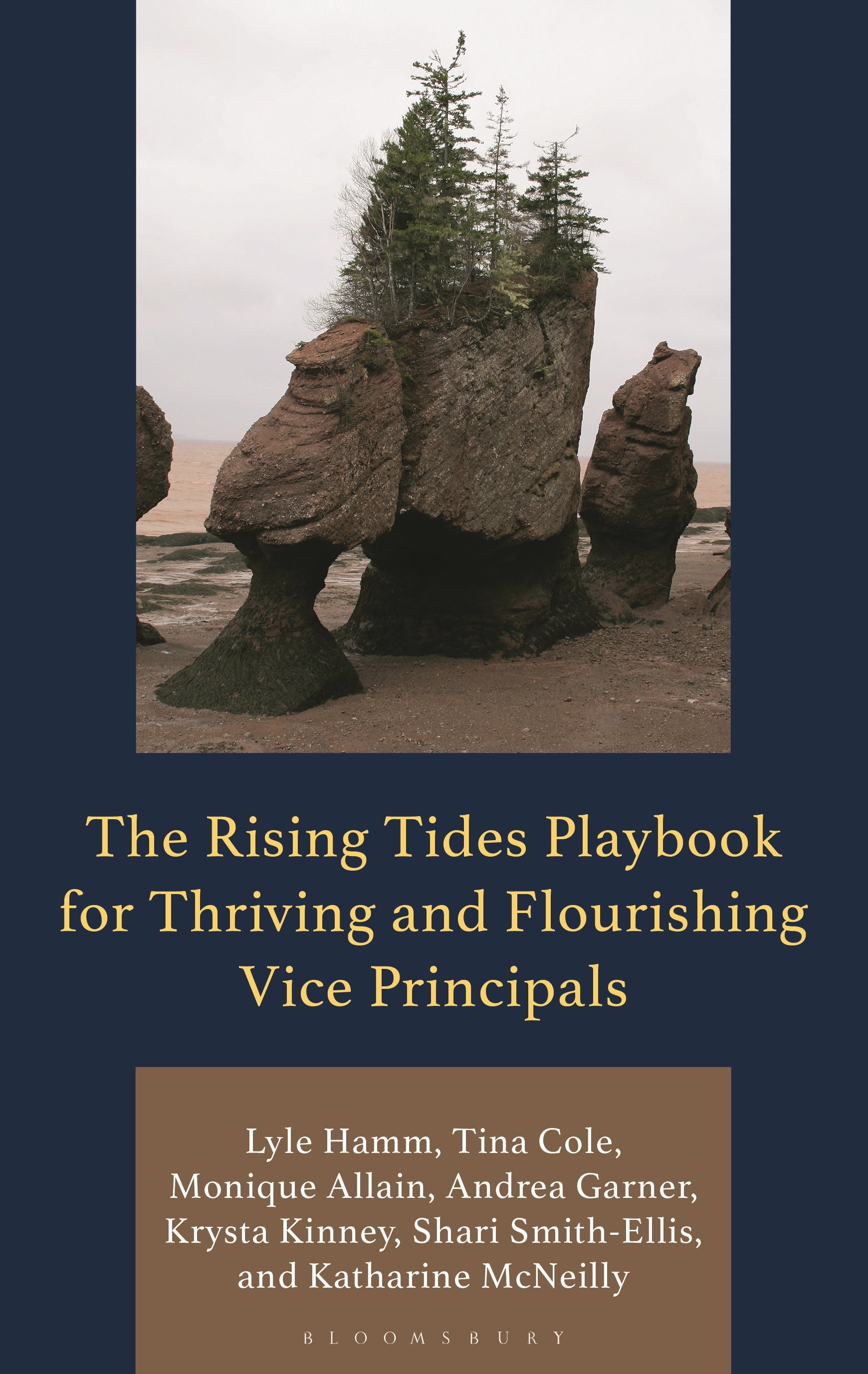 Rising Tides Playbook for Thriving and Flourishing Vice Principals