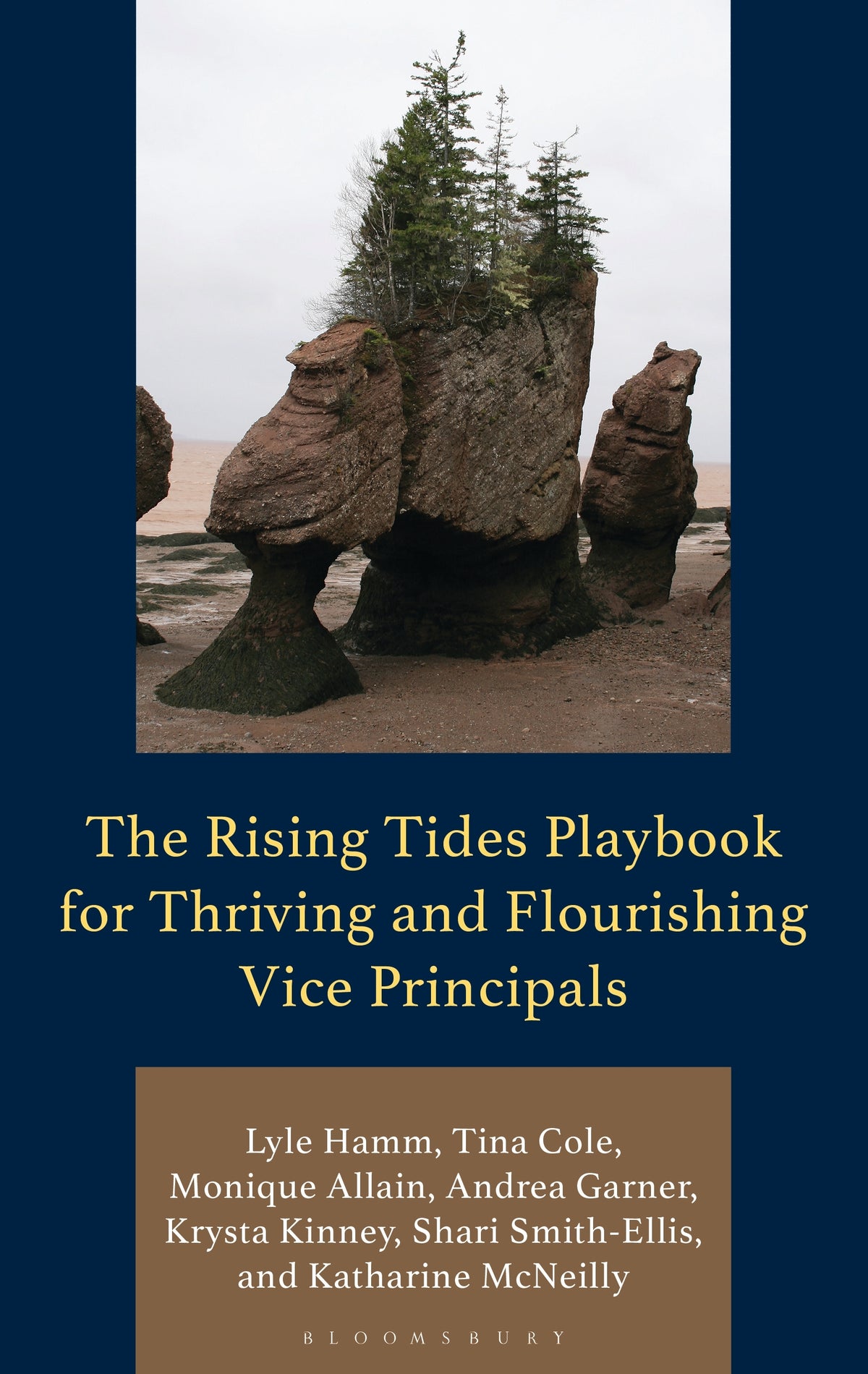 Rising Tides Playbook for Thriving and Flourishing Vice Principals