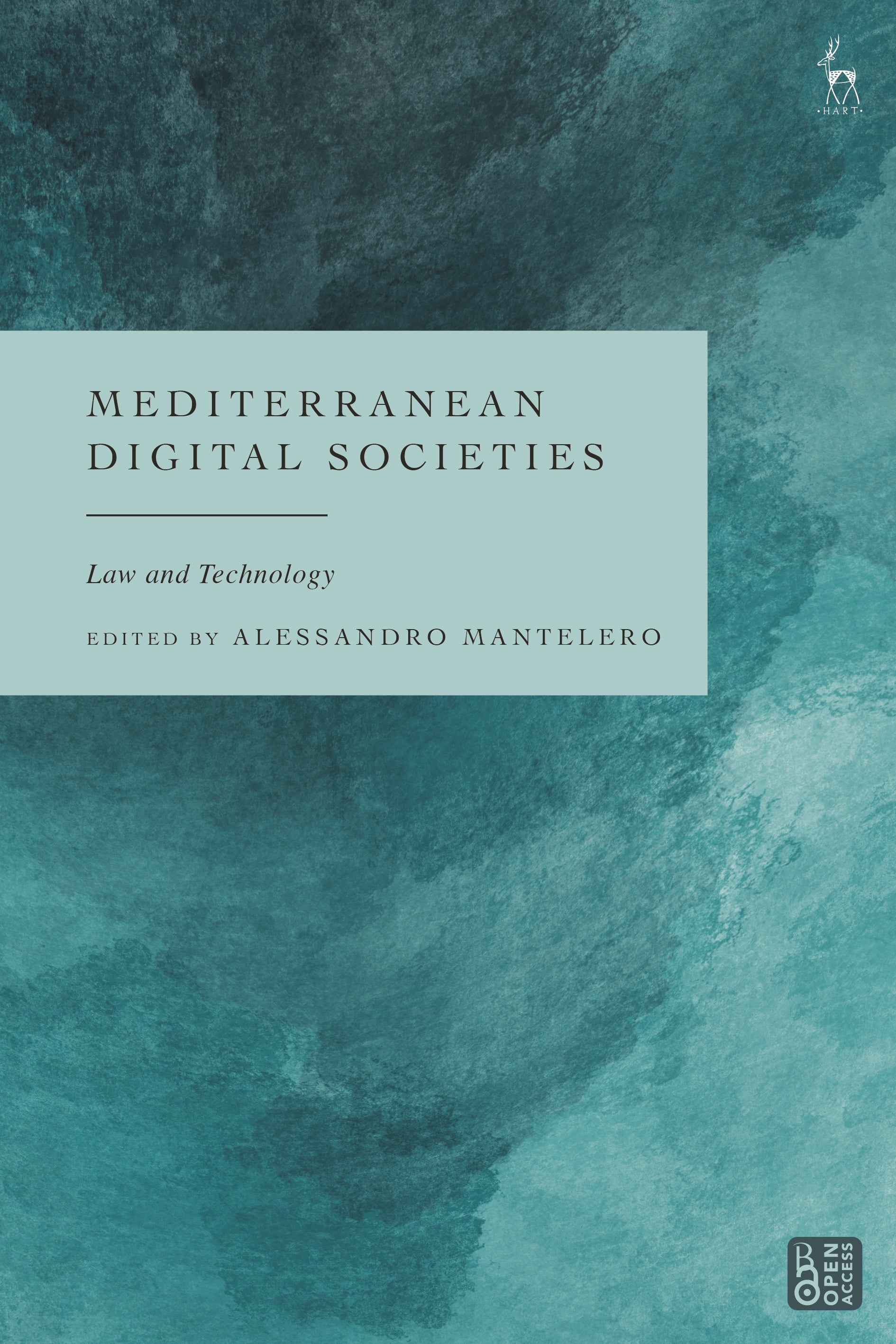 Mediterranean Digital Societies