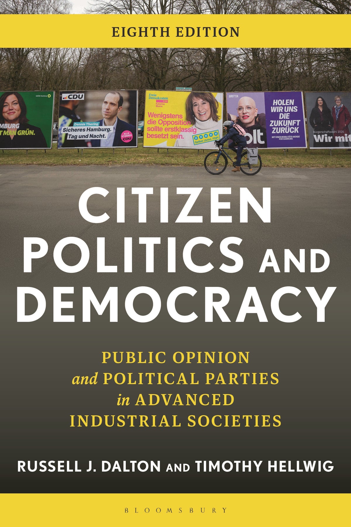 Citizen Politics and Democracy