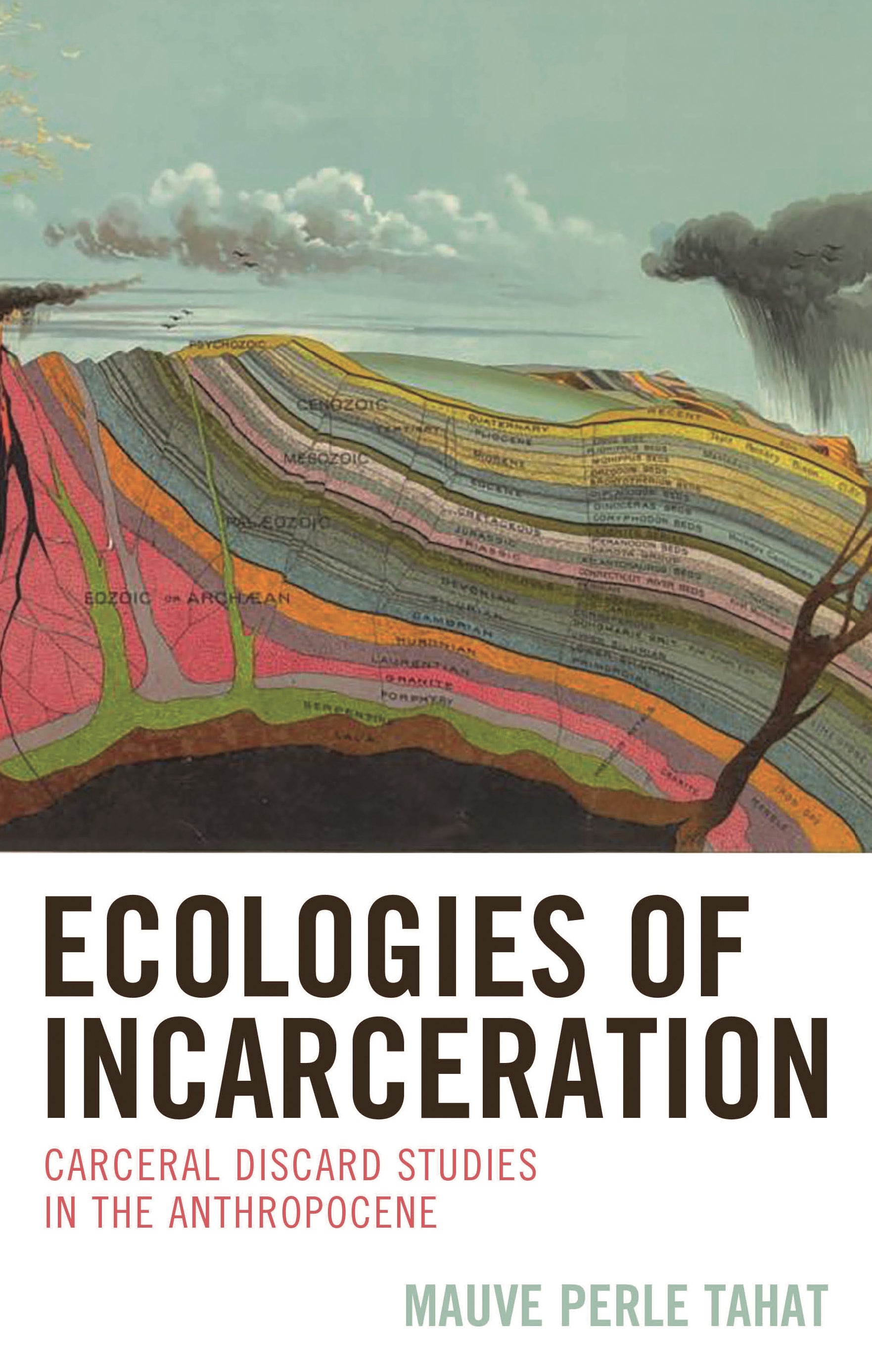 Ecologies of Incarceration