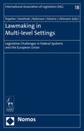 Lawmaking in Multi-level Settings