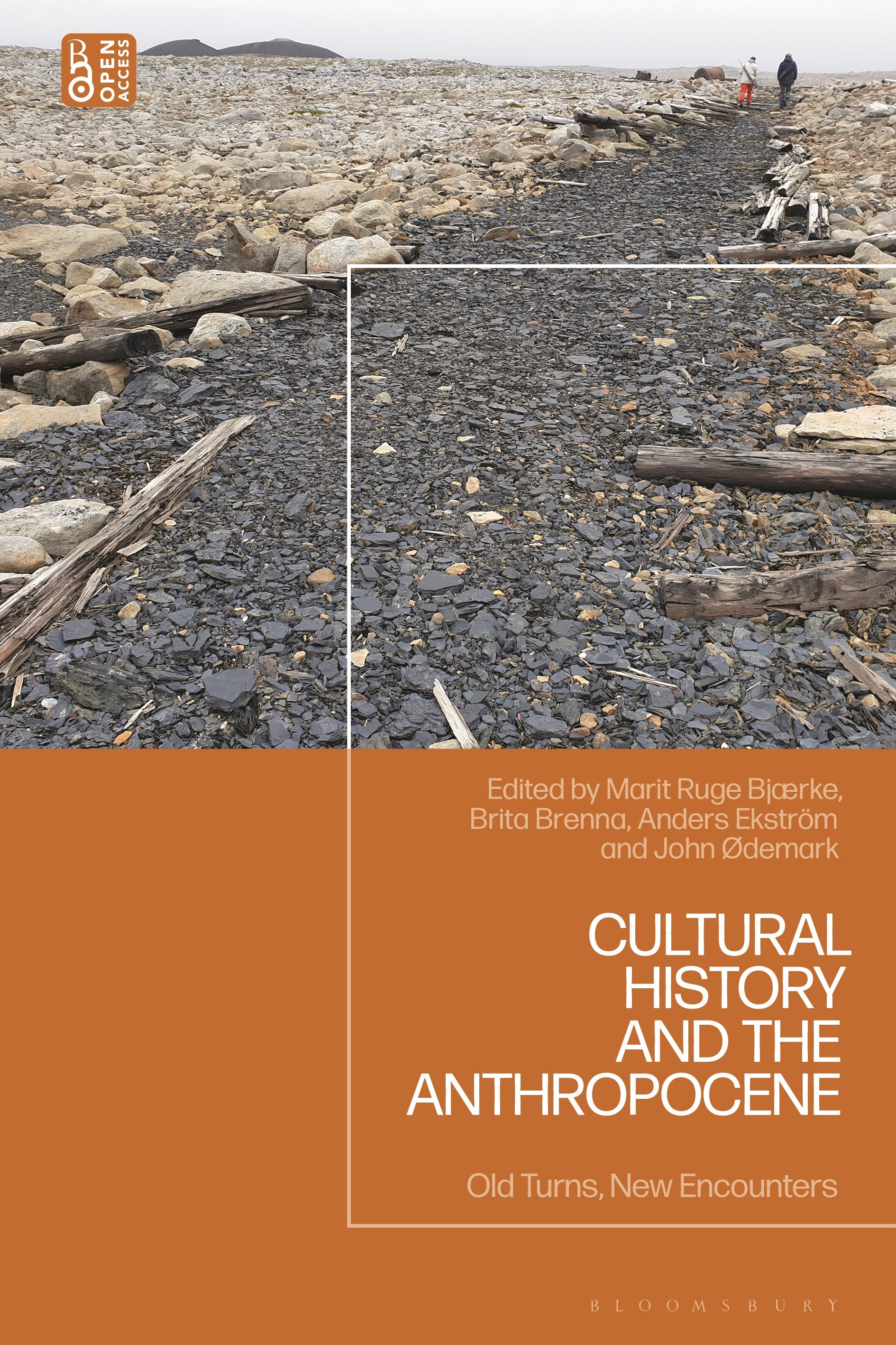 Cultural History and the Anthropocene