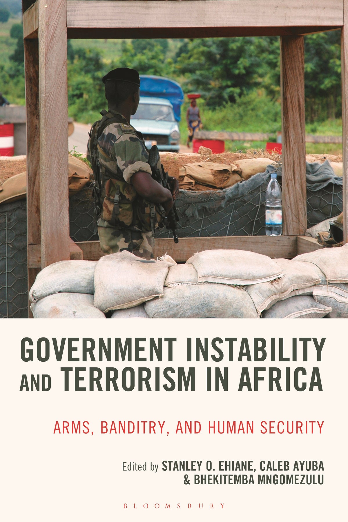 Government Instability and Terrorism in Africa