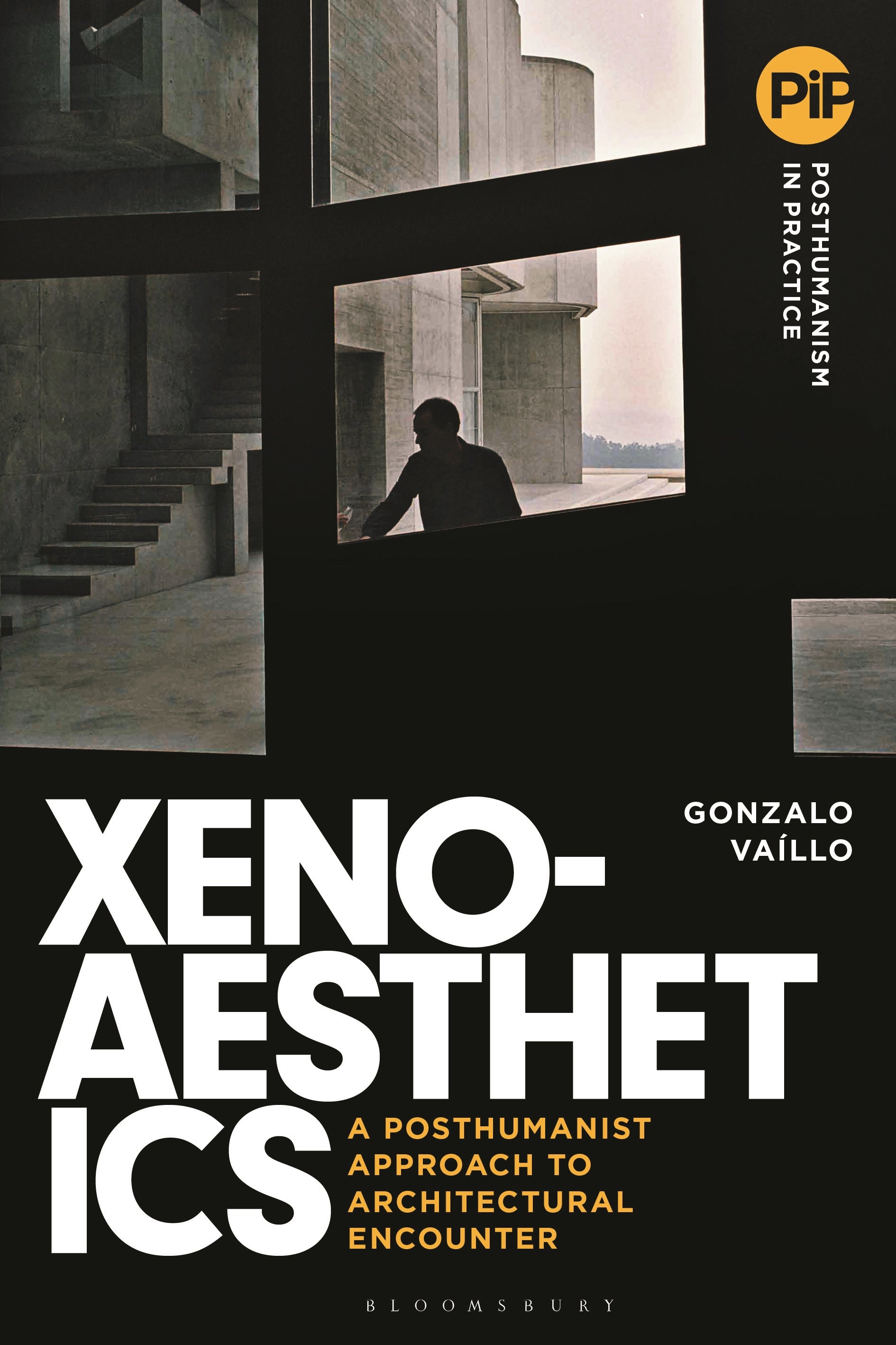 Xenoaesthetics
