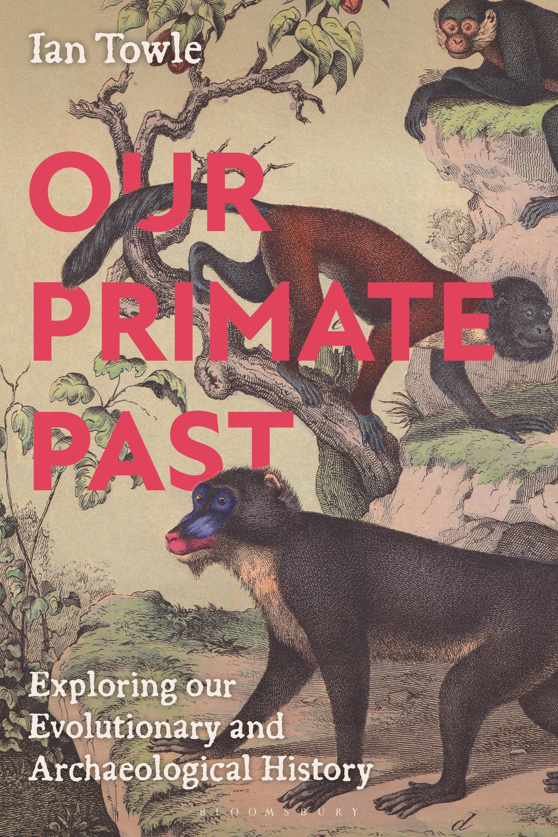 Our Primate Past