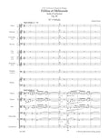 Pelleas et Melisande
Suite for Orchestra op. 80