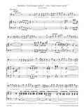 Concert Arias
for Bass