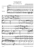 Grande Sonate. Arranged after the Clarinet Quintet K. 581
Edition for Clarinet in A (or Violin) and Piano