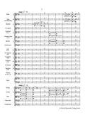 Symphony No. 3 op. 78